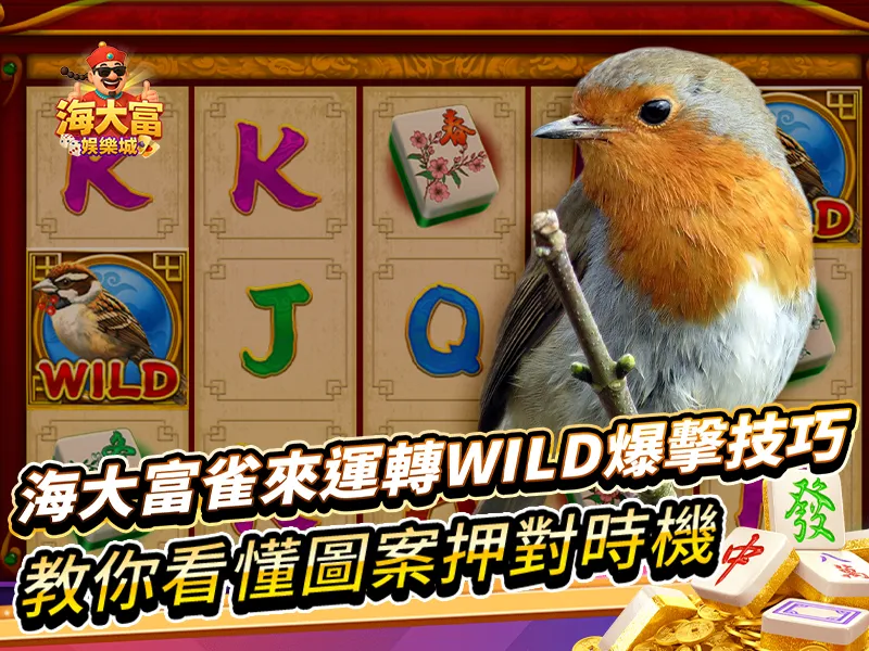 雀來運轉WILD
