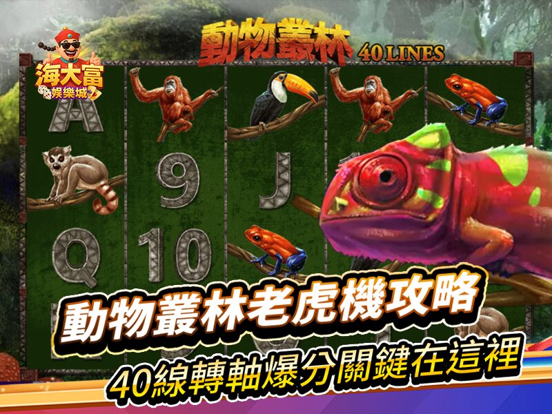 動物叢林老虎機